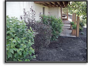 Walkways & Patios - before
