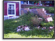 Retaining Wall - before